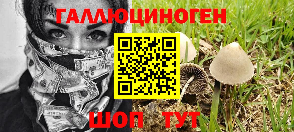 Псилоцибиновые грибы мицелий  Вход с VPN  купить   Галлюциногенные грибы мицелий  Елабуга 