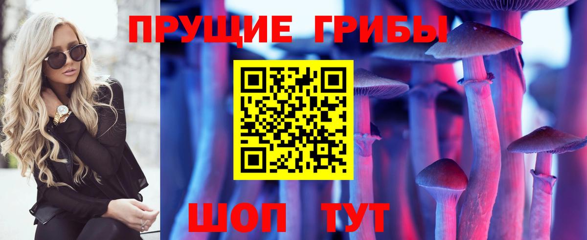 Псилоцибиновые грибы Cubensis Елабуга